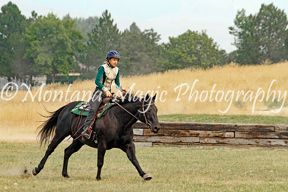 Air Horse One_3657