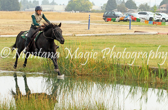 Air Horse One_3658