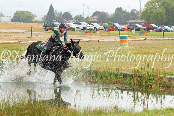 Air Horse One_3660