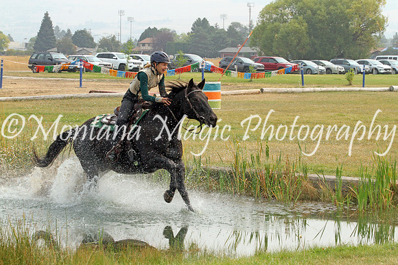 Air Horse One_3661