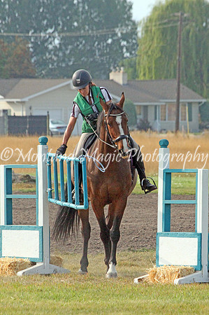 Fairsing Moondance_2639