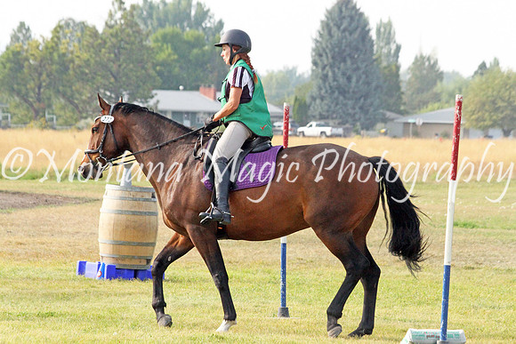 Fairsing Moondance_2647