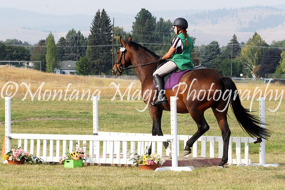 Fairsing Moondance_2653