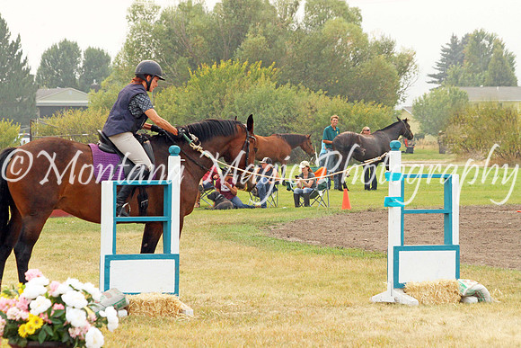 Fairsing Moondance_3802