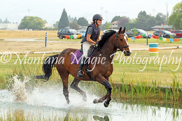 Fairsing Moondance_3817