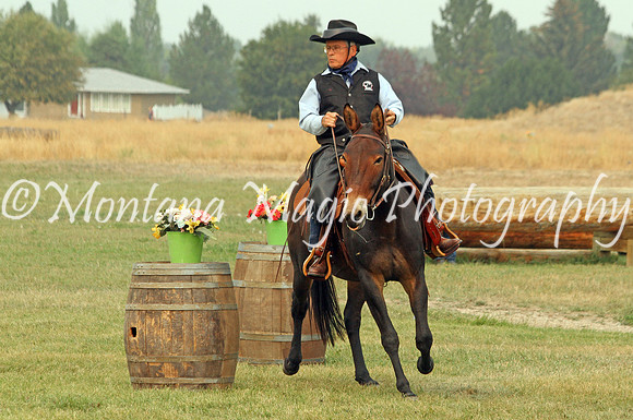 Kansas_3464