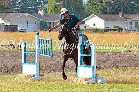 Rockin US Reckless Abandon_2509