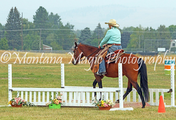 Shelby_3377