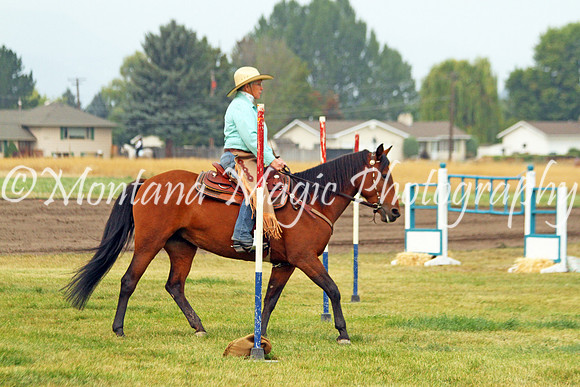 Shelby_3372