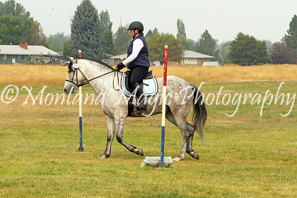 Templar_3486