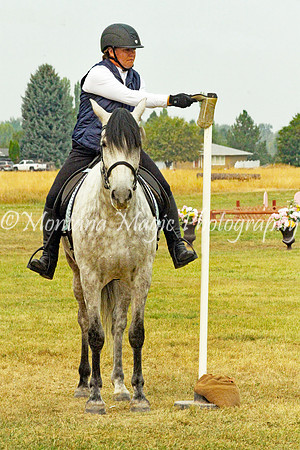 Templar_3497