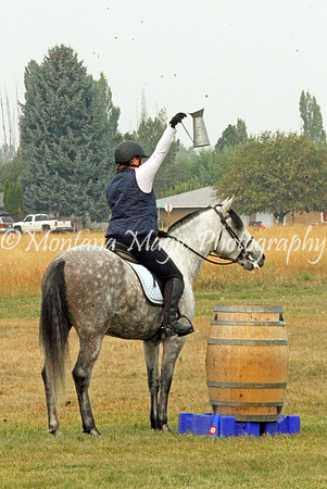 Templar_3513