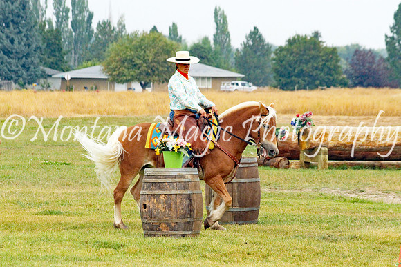 Top Waltzer_3063