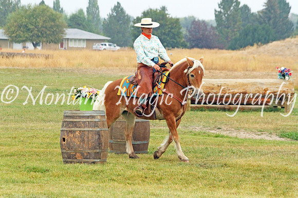 Top Waltzer_3066