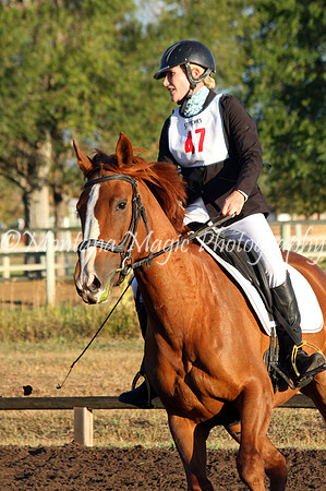 Audrey_4176