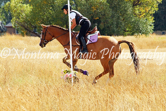 Brandy_5073