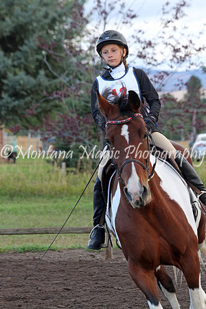 Filly_4304