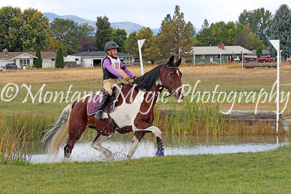 Filly_4773
