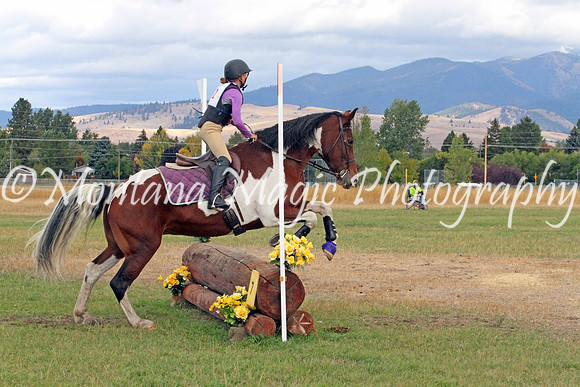 Filly_4777