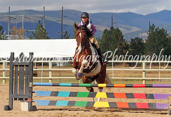 Filly_5201