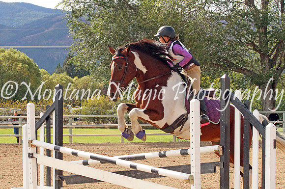 Filly_5209
