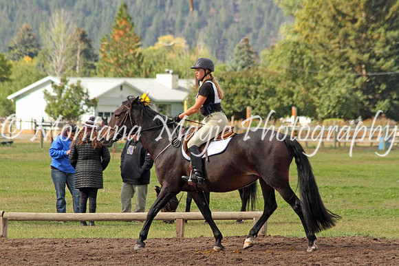 GlenHolly Pennywhistle_4589