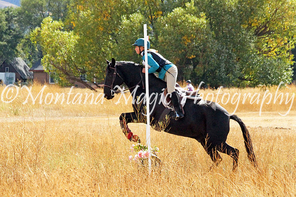 Hokesheela_5019