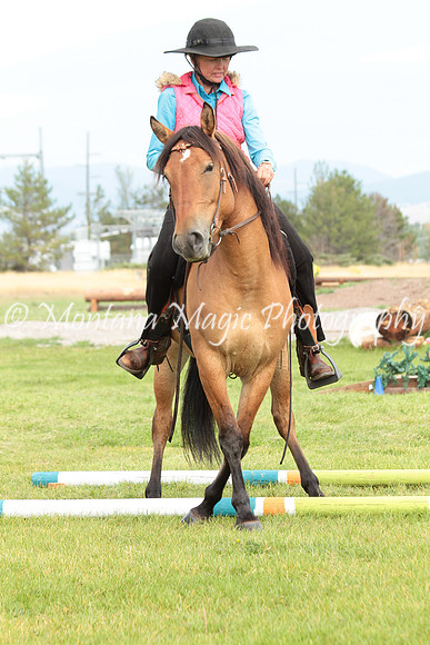 Honeybee_1170