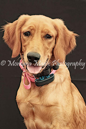 Lola_0580