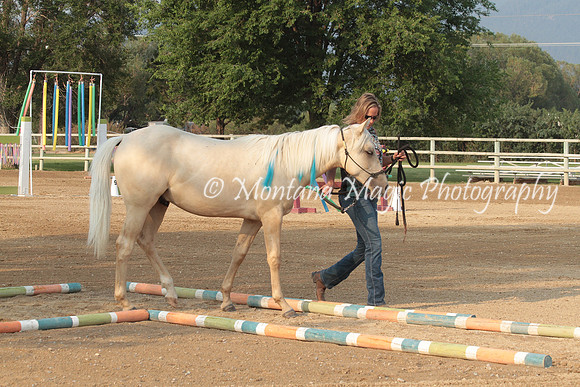 Butterscotch_2688