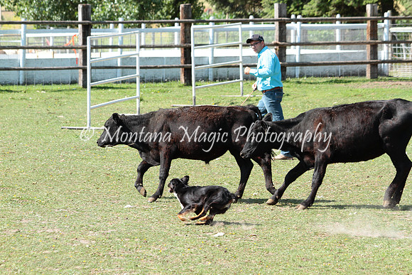 Beth_6918