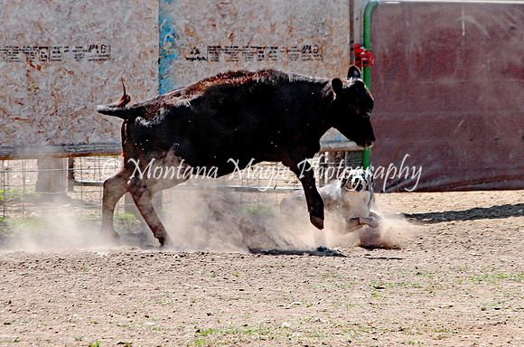 Dually_7524