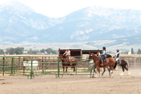 Justa Crooked Cowboy_6547
