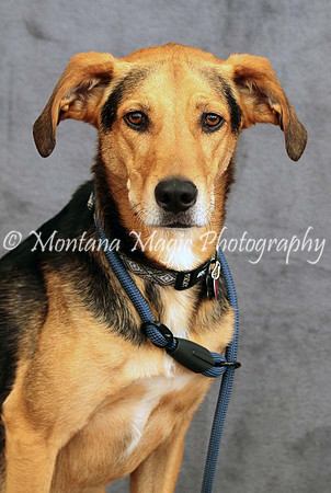 Petey_0527