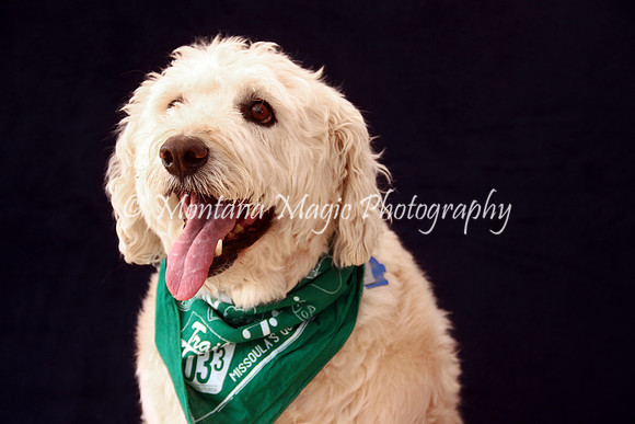 Baxter_9573