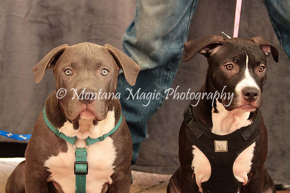 Ezekial & Diamond_0362