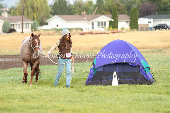 Coniger_0776