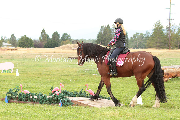 Liam_0946