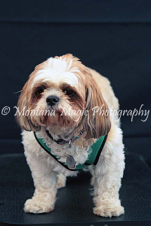 Scout_0261