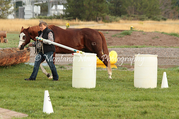 Big D_0680
