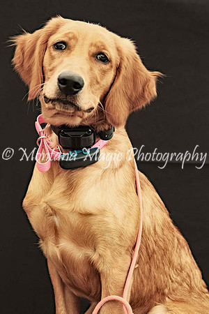 Lola_0586