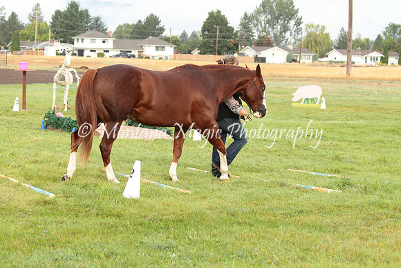 Big D_0659