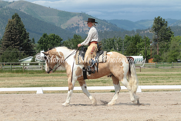 Cowboy_9088