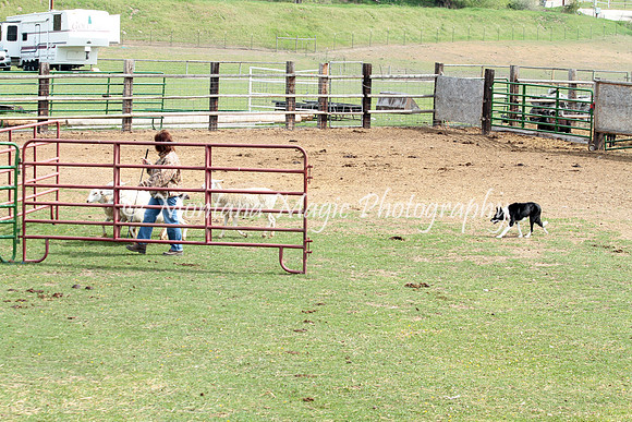 Minnie Pearl_9506