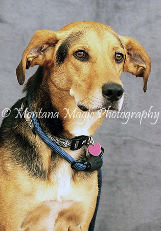 Petey_0515