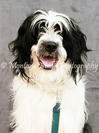 Tucker_0438