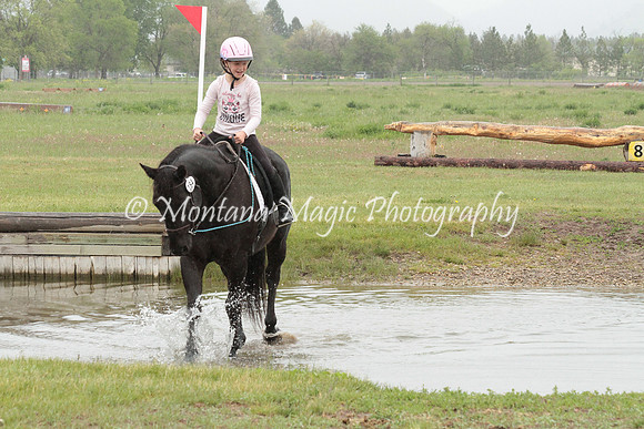 Air Horse One_2962