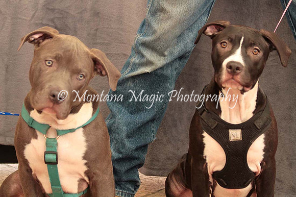 Ezekial & Diamond_0352