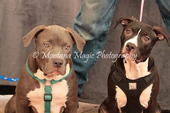 Ezekial & Diamond_0359