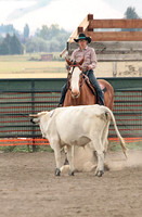 08.17-B Cattle